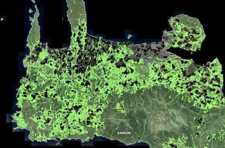Ιστορική απόφαση του ΣτΕ: Τέλος οι δασικοί χάρτες που βασίζονται σε παρωχημένες αεροφωτογραφίες